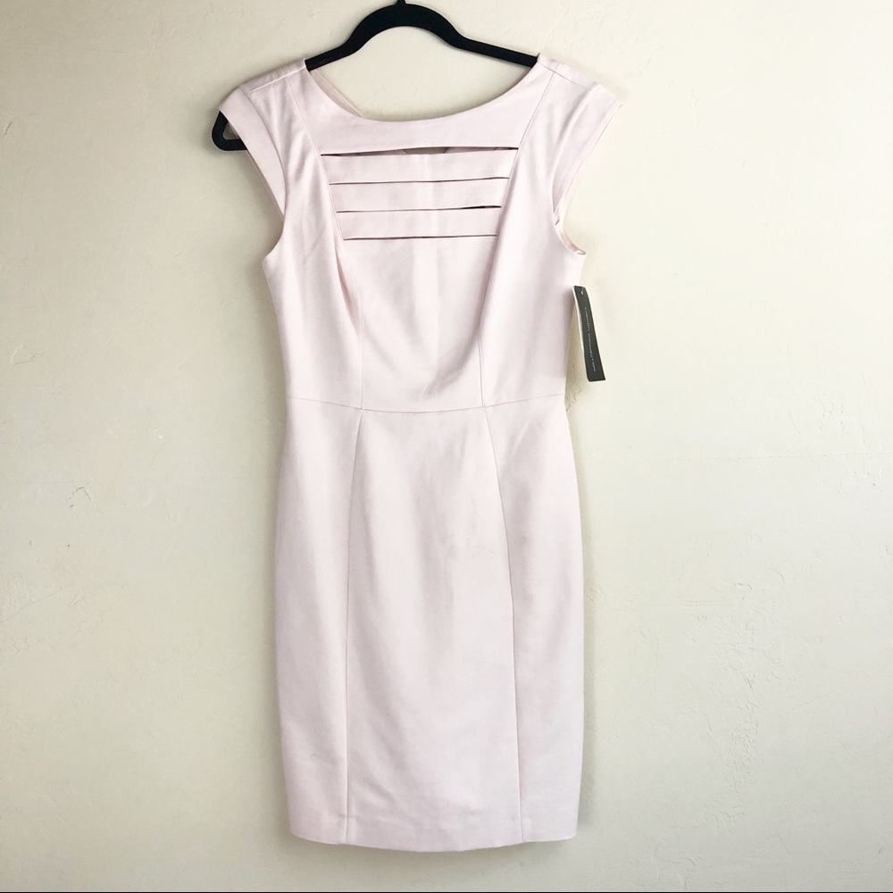NWT French Connection Light Pink Bar Sheath Dress